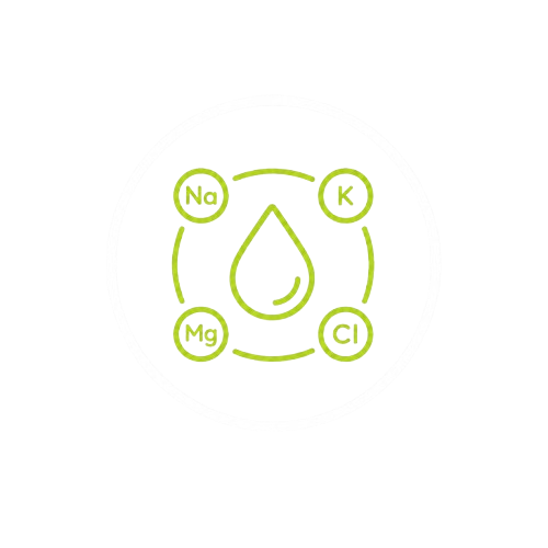 Electrolyte diagram with icons for sodium, potassium, magnesium, and chloride in a circle