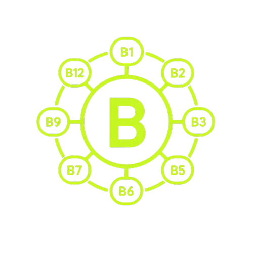 Full spectrum vitamin B complex graphic with B1, B2, B3, B5, B6, B7, B9, and B12 icons